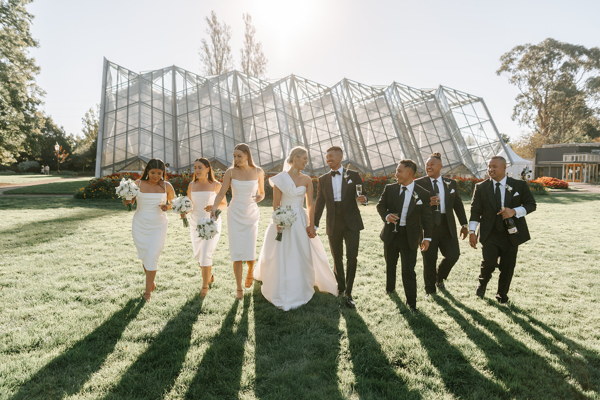 The wedding party strides across the lawn in front of the Ballarat Botanical Gardens conservatory.