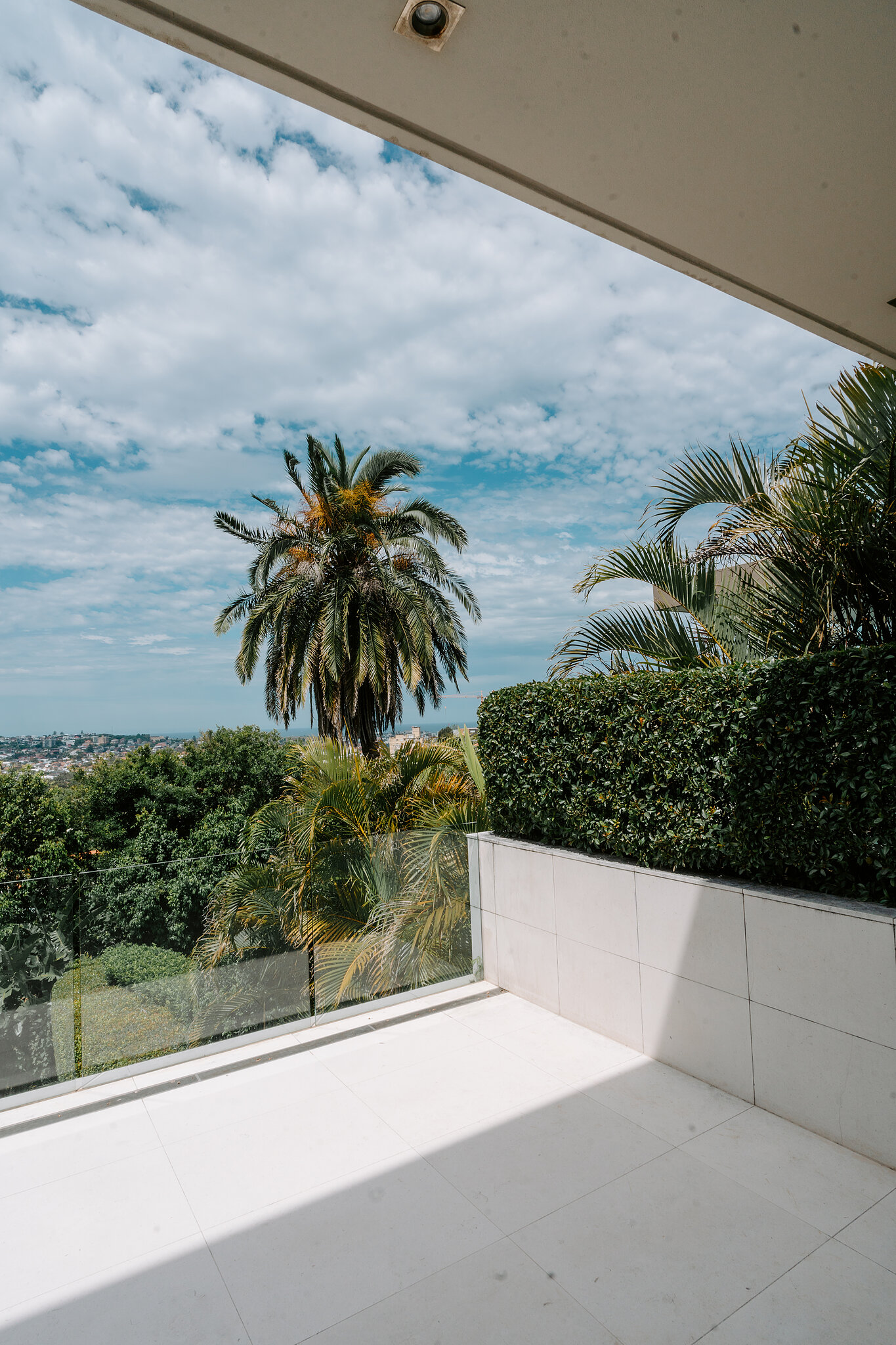 The sunny terrace of Michele’s getting-ready house in Bellevue Hill, palms and blue sky over the Eastern Suburbs.