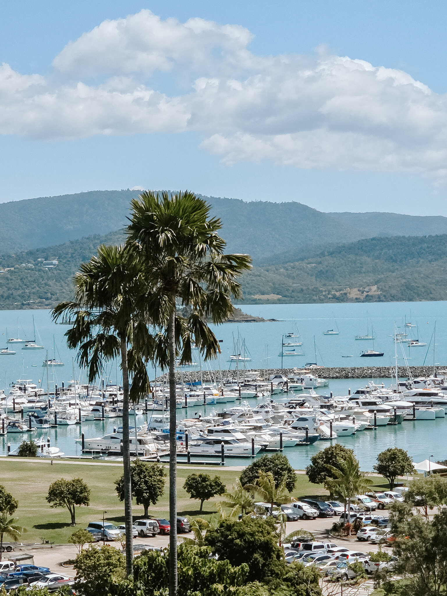 Palms frame the marina and green hills of Airlie Beach from above.