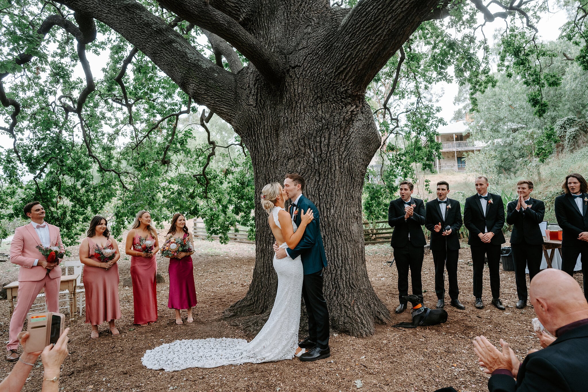 Emma and George kiss beneath the oak as their bridal party and their dog look on.