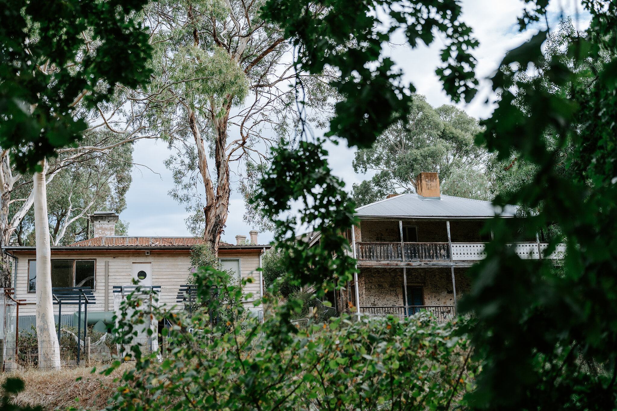 Historic farm buildings at Collingwood Children’s Farm framed by gum trees and oak leaves.