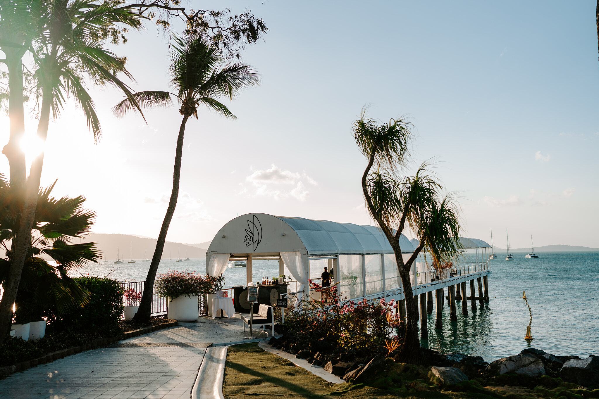 The jetty at Coral Sea Resort with its white marquee, palms and pandanus in the late sun.