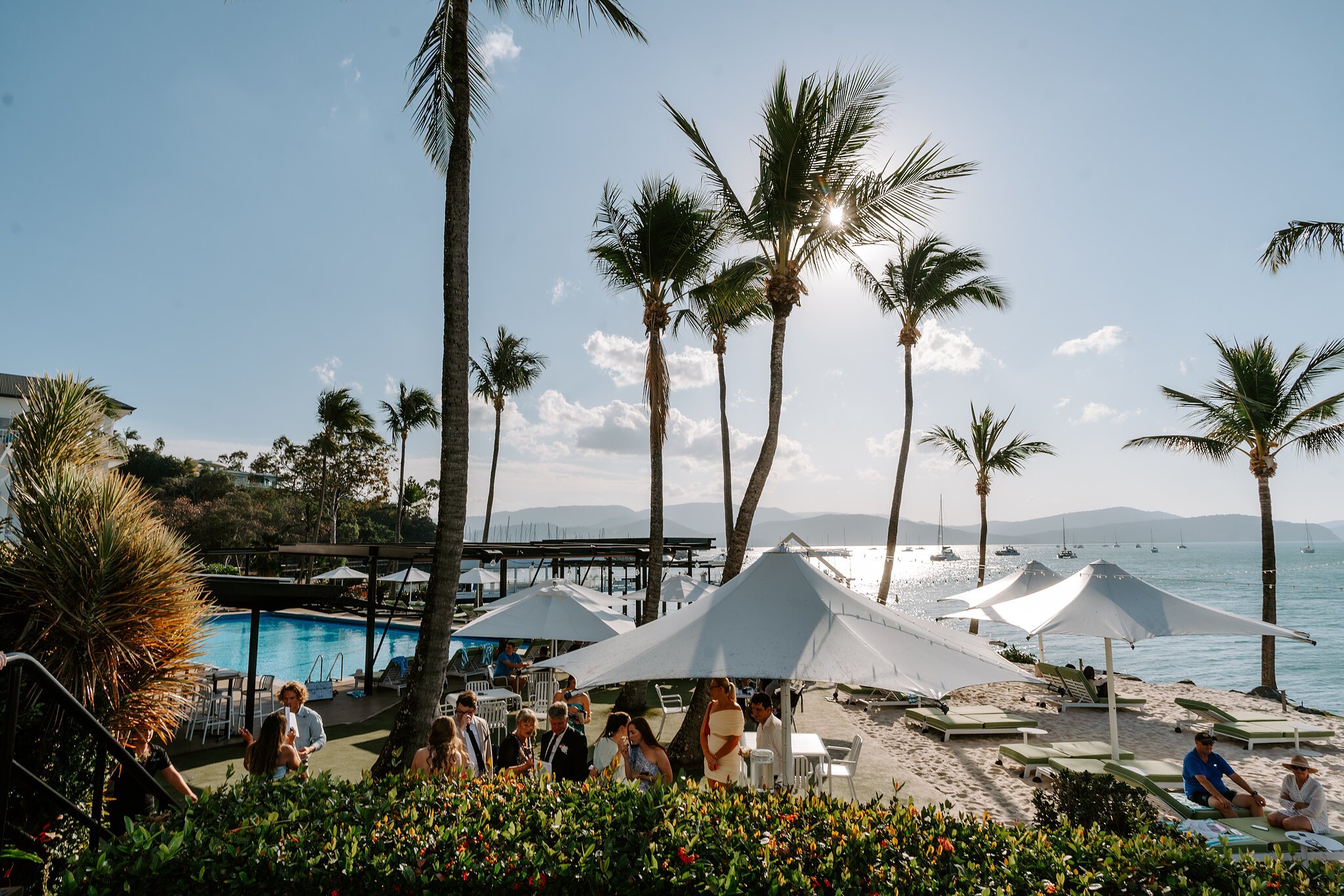 Palms, umbrellas and the pool at Coral Sea Resort, looking out over the water.