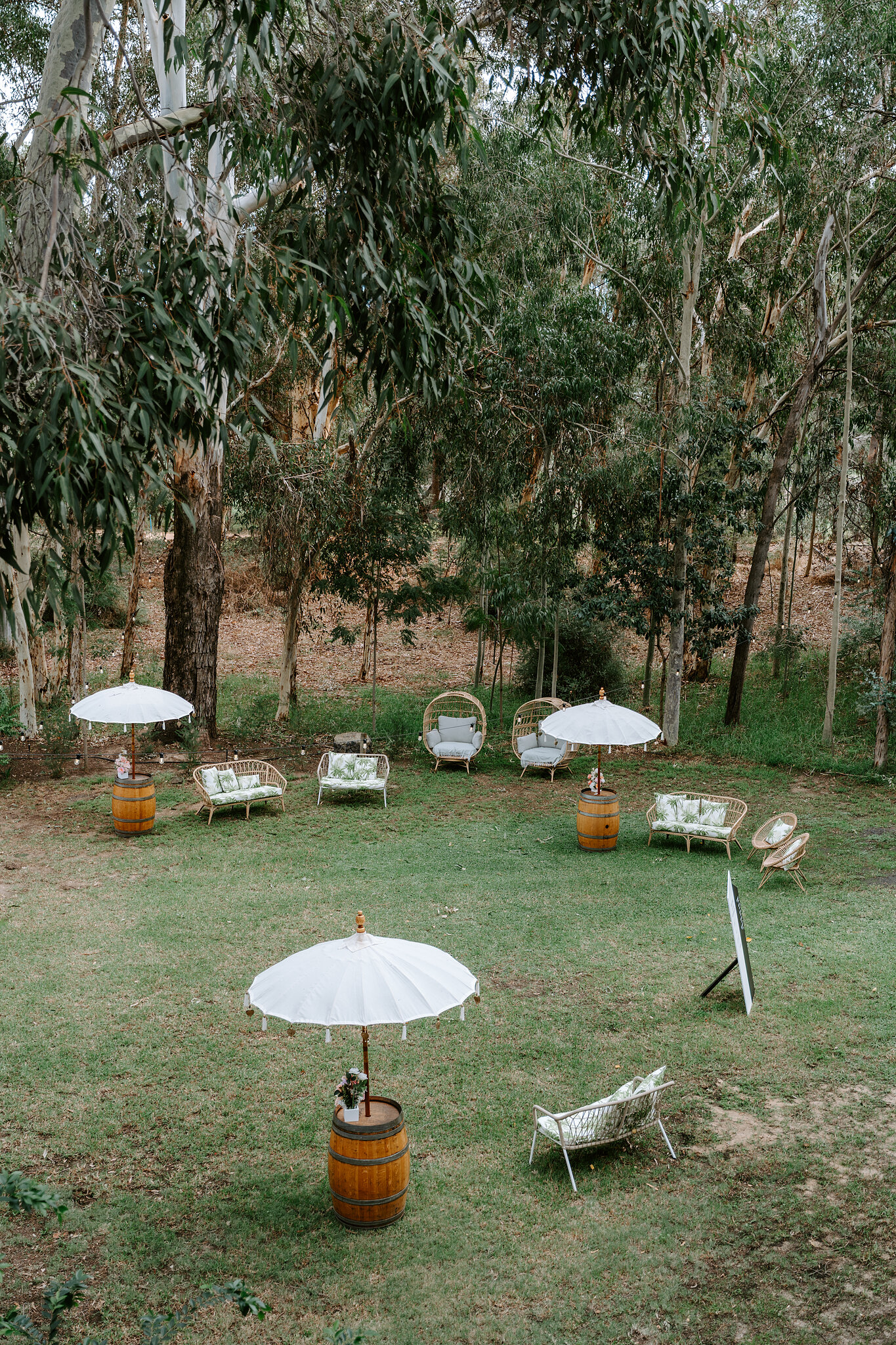 White parasols, wine barrels and cane chairs set up for cocktails on the lawn under the gums.