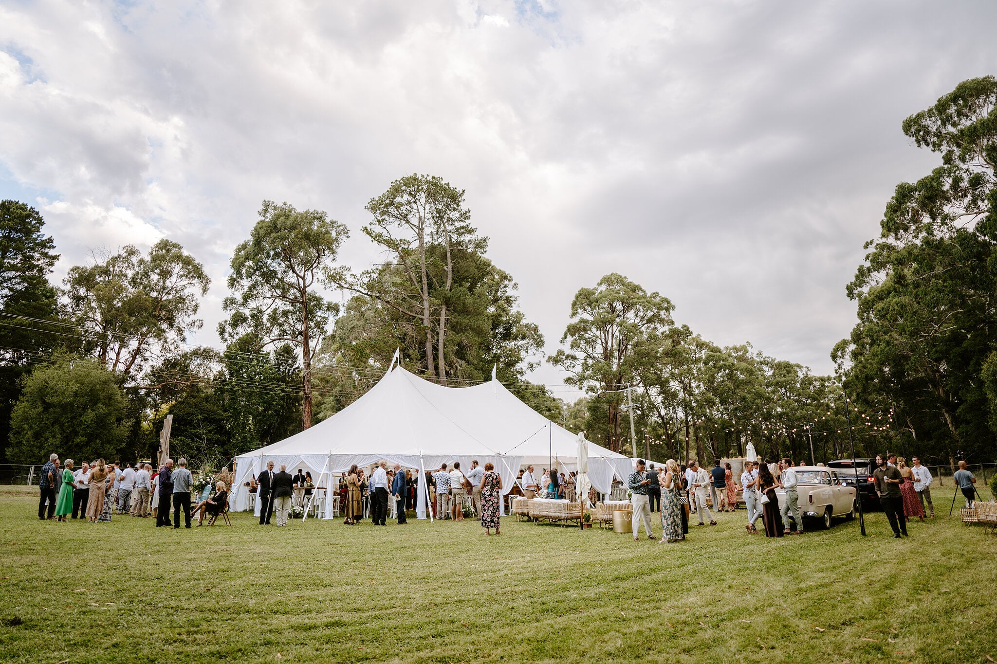 The white marquee and guests on the lawn, tall gum trees all around the family property.