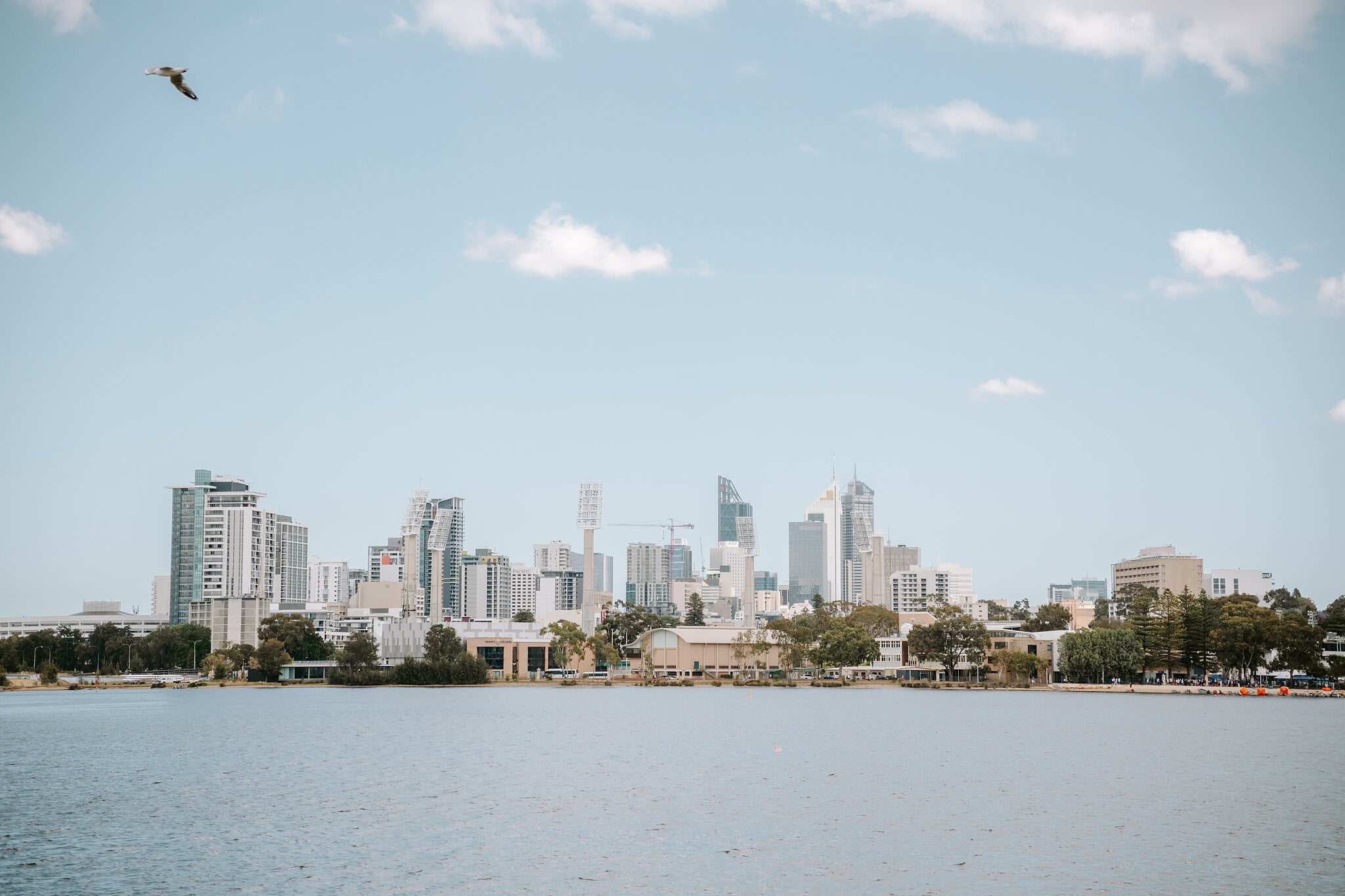 The Perth skyline rises across the Swan River on a bright morning, a gull overhead.